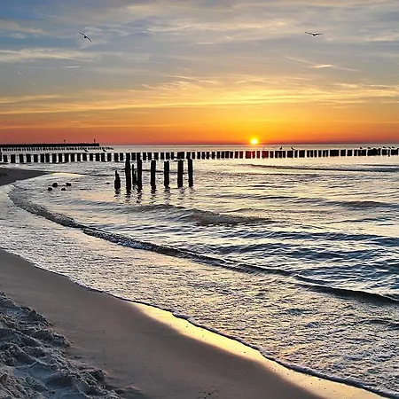 Aronia Z Aneksem Kuchennym ベッド・アンド・ブレックファスト