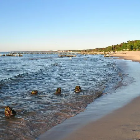 B&B Aronia Z Aneksem Kuchennym