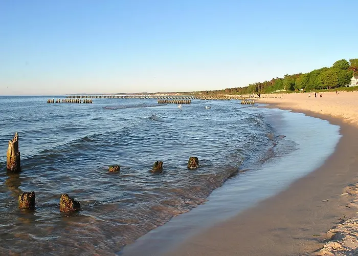 Bed & Breakfast Aronia Z Aneksem Kuchennym
